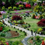 Khám phá vườn hoa Morning Calm – Khu vườn đẹp nhất khi du lịch Hàn Quốc