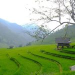 Du lịch Sapa: ngẩn ngơ trước vẻ đẹp mộc mạc & yên bình của Nậm Cang