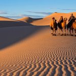 Hành trình khám phá sa mạc Gobi Mông Cổ – sa mạc lớn nhất tại châu Á