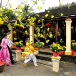 Du lịch Tết 2025 trong và ngoài nước giá hấp dẫn