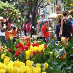 Du lịch Tết Nguyên Đán 2025 cùng Du Lịch Việt