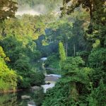 Khám phá top 9 địa điểm du lịch Brazil cực hot không thể bỏ qua