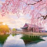 Khám phá Xứ sở kim chi – Du hành đến vùng đất lãng mạn