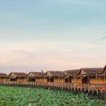 Bỏ túi ngay kinh nghiệm đi tour du lịch Cao Lãnh – Đồng Tháp cực chi tiết