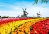 Hà Lan – Quốc gia hạnh phúc trên thế giới