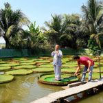 Vãn cảnh chùa Phước Kiển – ngôi chùa độc đáo xứ sen hồng Đồng Tháp