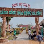Khu du lịch cánh đồng hoa hồng Sa Đéc – điểm tham quan nổi tiếng Đồng Tháp
