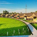 Tour Cao Lãnh 1 ngày có gì chơi? Những địa điểm vui chơi ở Cao Lãnh Đồng Tháp