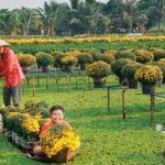 Cẩm nang du lịch: ăn gì, chơi gì, ở đâu Đồng Tháp