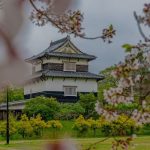 Vẻ đẹp của lâu đài Fukuoka – kiệt tác kiến trúc cổ tại Nhật Bản