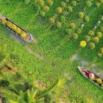 Review kinh nghiệm đi tour du lịch Đồng Tháp 1 ngày từ A – Z