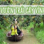 Tổng hợp danh sách các vườn trái cây gần cầu Mỹ Thuận – Vĩnh Long