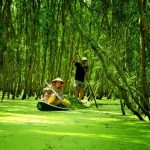 Du lịch miền Tây hấp dẫn 2025