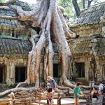 Khám phá đền Ta Prohm Campuchia, ngôi đền bí ẩn với những rễ cây kì dị