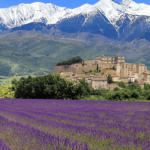 Đắm mình trước vẻ đẹp thơ mộng đầy lãng mạn của vùng Provence nước Pháp