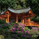 Vẻ đẹp của đền Nezu – “viên ngọc quý” nằm giữa lòng Tokyo Nhật Bản