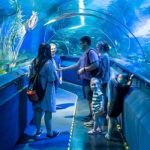 Hành trình khám phá thế giới đại dương tại thủy cung Aquaria KLCC Malaysia
