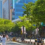 Kinh nghiệm du lịch thành phố Daegu Hàn Quốc chi tiết nhất