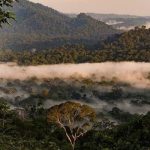 Lạc vào thung lũng Danum Malaysia, khám phá thiên nhiên hoang dã