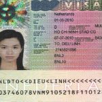 Dịch vụ làm visa Hà Lan nhanh chóng, uy tín – Cánh cửa đến châu Âu rộng mở