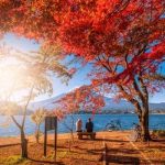 Vẻ đẹp thơ mộng đầy lãng mạn của hồ Kawaguchi nổi tiếng Nhật Bản