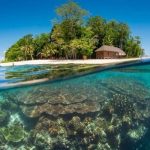 Du lịch đảo Sipadan – chinh phục hòn đảo đẹp nhất Malaysia