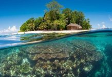 Du lịch đảo Sipadan – chinh phục hòn đảo đẹp nhất Malaysia