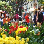 Gợi ý điểm đến “đỉnh” nhất cho kỳ nghỉ Tết Âm lịch 2026