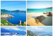 Du lịch Nha Trang hè 2026 – Thiên đường biển đảo không thể bỏ lỡ