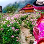Du Lịch Sapa Hè 2026 – Trốn Nóng Miền Núi, Săn Mây Và Ruộng Bậc Thang Tuyệt Đẹp