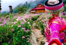 Du Lịch Sapa Hè 2026 – Trốn Nóng Miền Núi, Săn Mây Và Ruộng Bậc Thang Tuyệt Đẹp